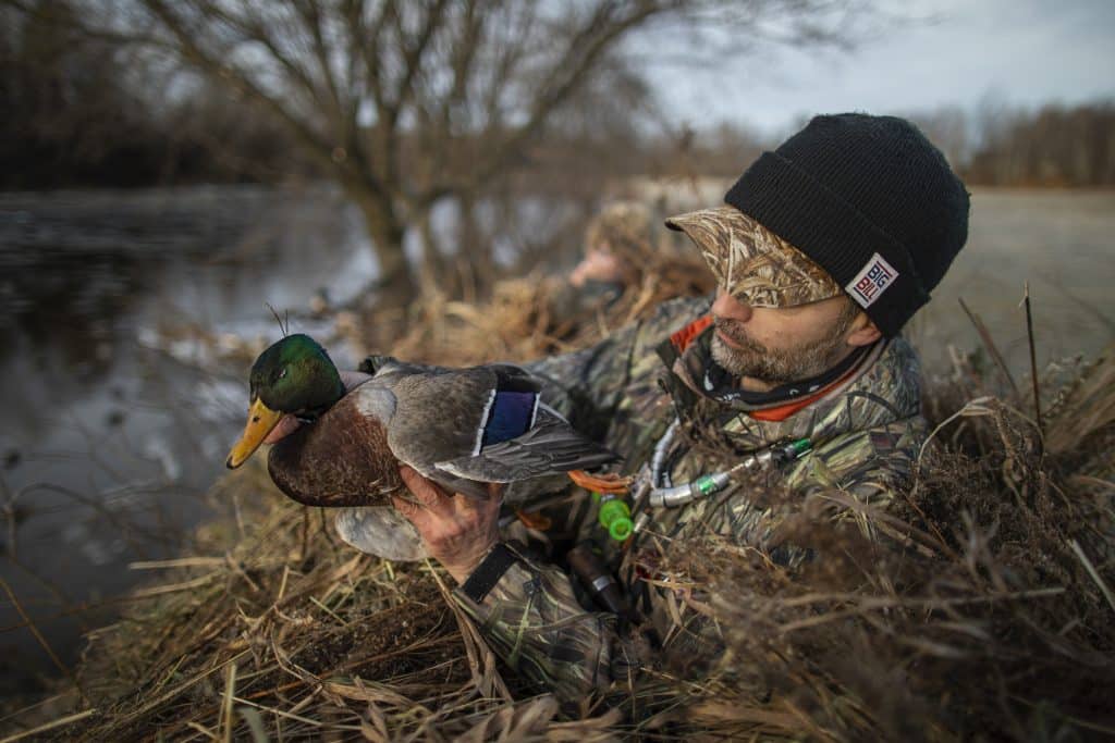 Chasse aux migrateurs: repérage météo et stratégies de saison