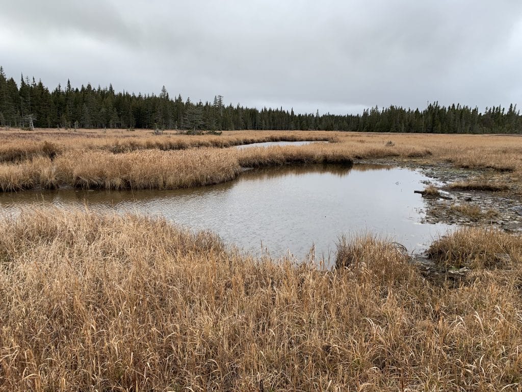 Construction d’un itinéraire de chasse all-day