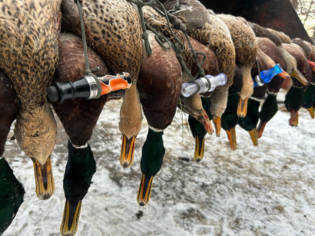 Decoys and decoys