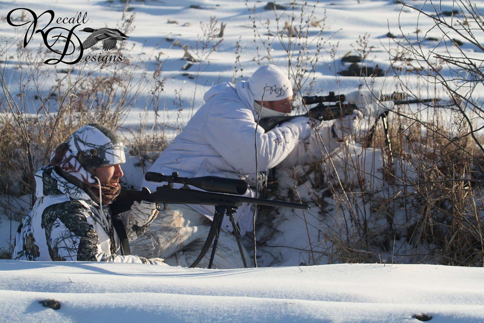 Camouflage au champ: techniques avancées pour l'oie blanche