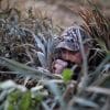 Duck hunting strategies