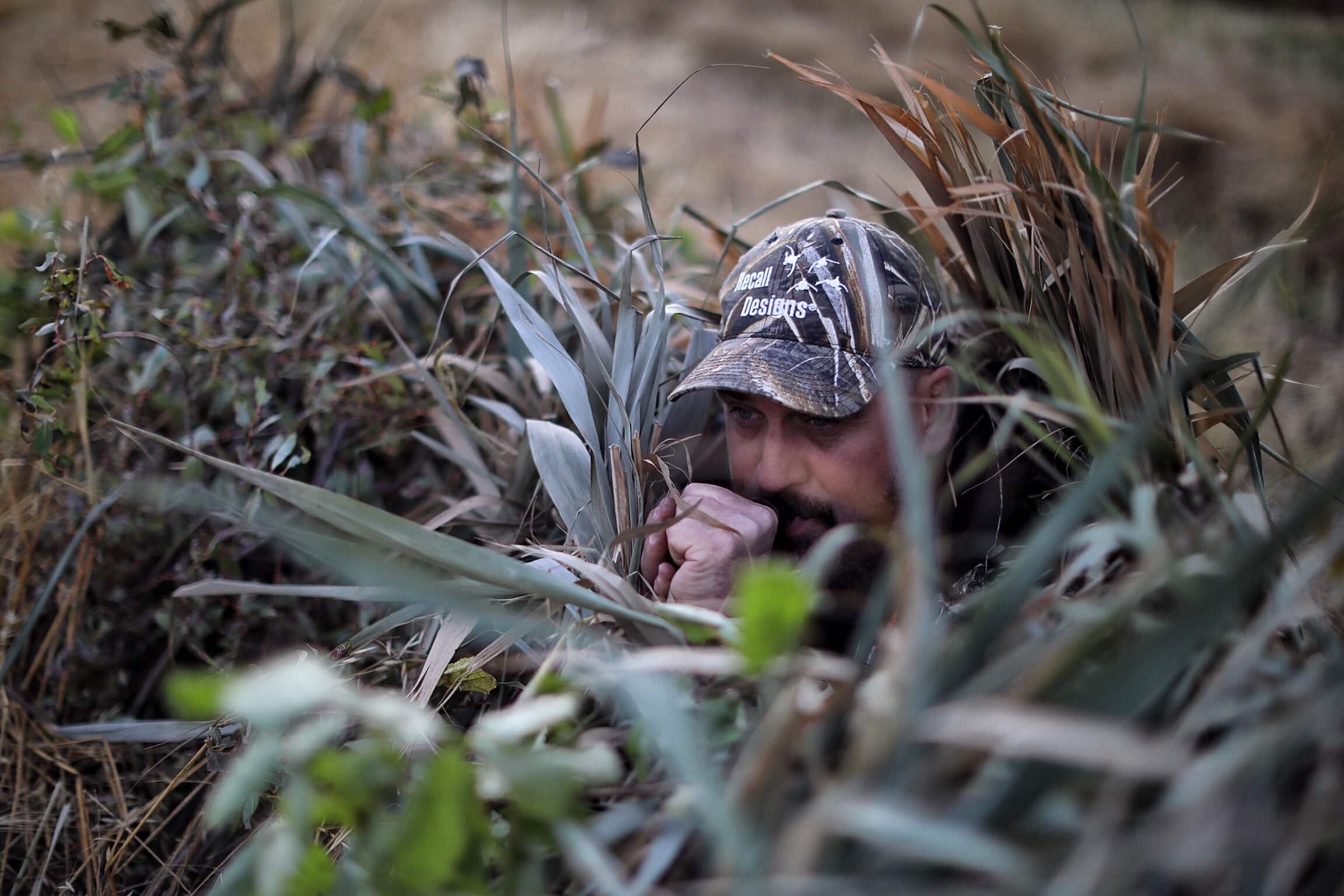 Stratégies de chasse au canard